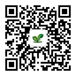 微信公众号